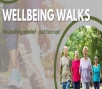 Wellbeing Walk - Washington, Ashington and Wiston Event Image